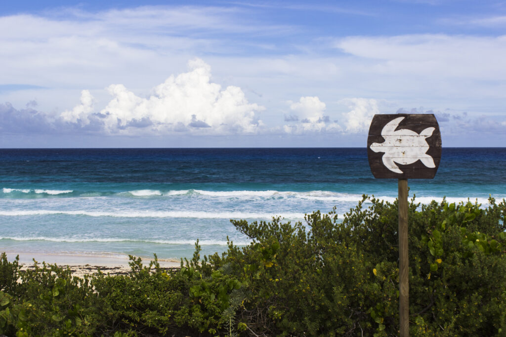 Praia Cozumel