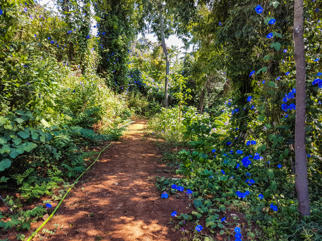 Quinta das Lágrimas Coimbra