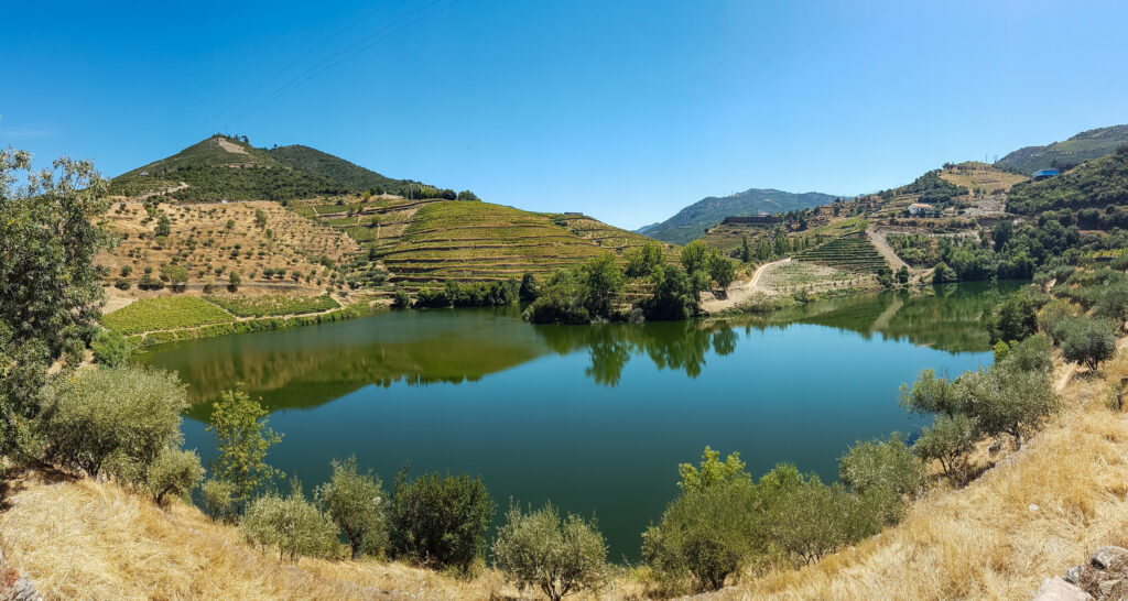 Quinta do Têdo, uma das vinícolas do Douro
