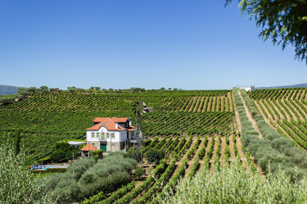 Quinta Seara d'Ordens, uma das vinícolas do Douro